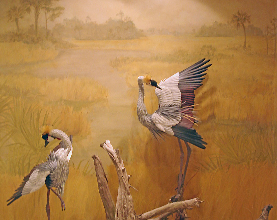 egrets-mural
